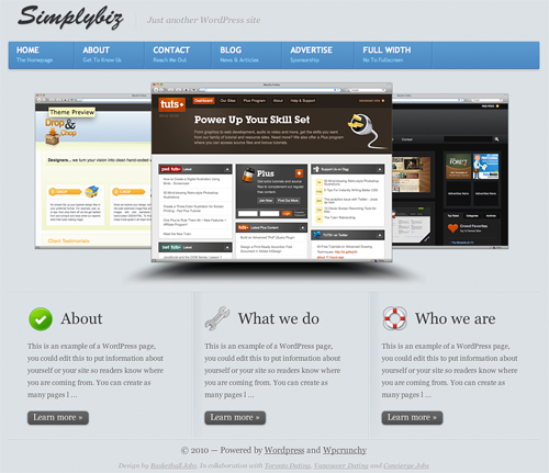 SimplyBiz WordPress Theme