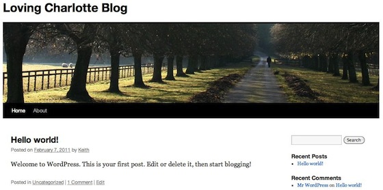 New WordPress blog