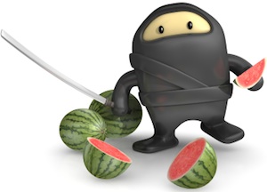 Don't mess with the Ninja Watermelon!