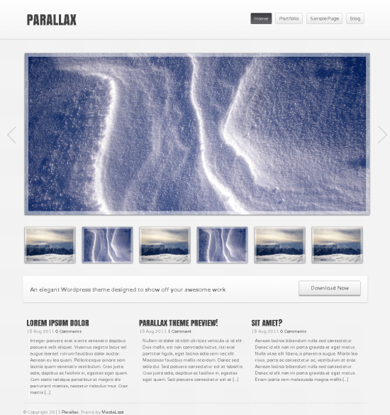 Parallax WordPress Theme
