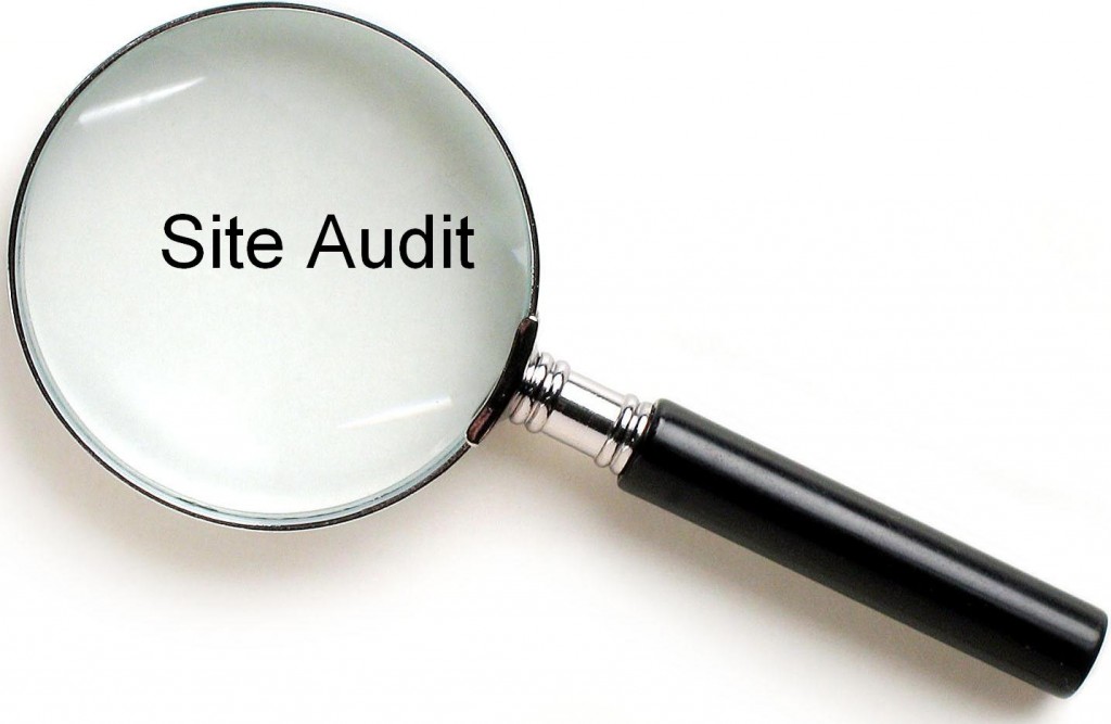 Blog audit