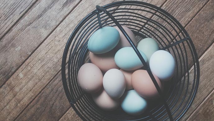eggs-basket