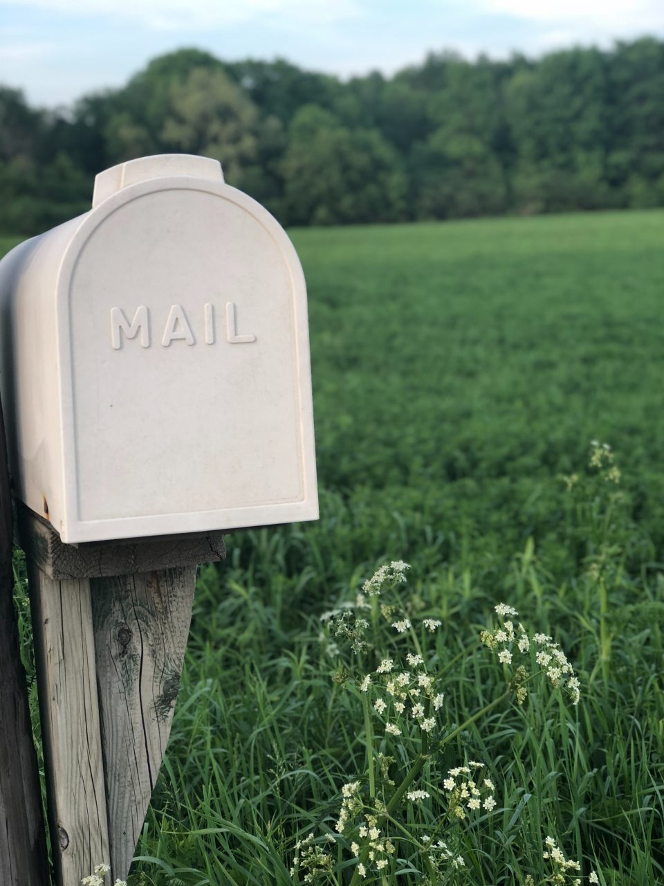 How To Choose The Best Email Software For Your Business John Chow Dot Com 10-best-email-marketing-software-reviewed-tested-compared