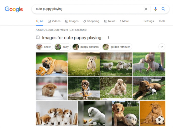 Adorable puppy pictures in Google search